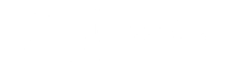 Pet Flyer