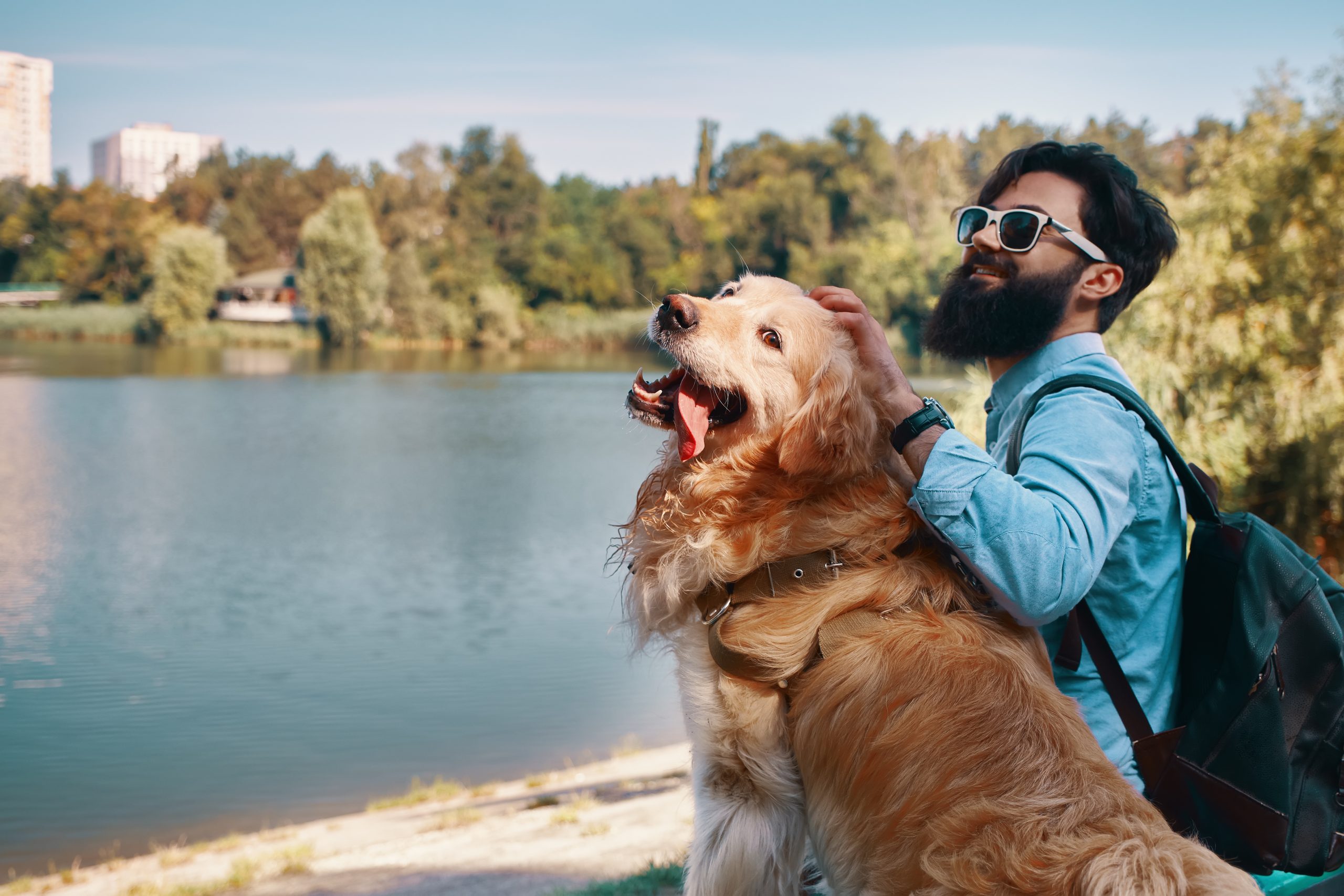 Best friends' concept - between human and animal. Angle view, young man hugging, tapping and sitting with his dog on the chair in the park, enjoying the view of the lake