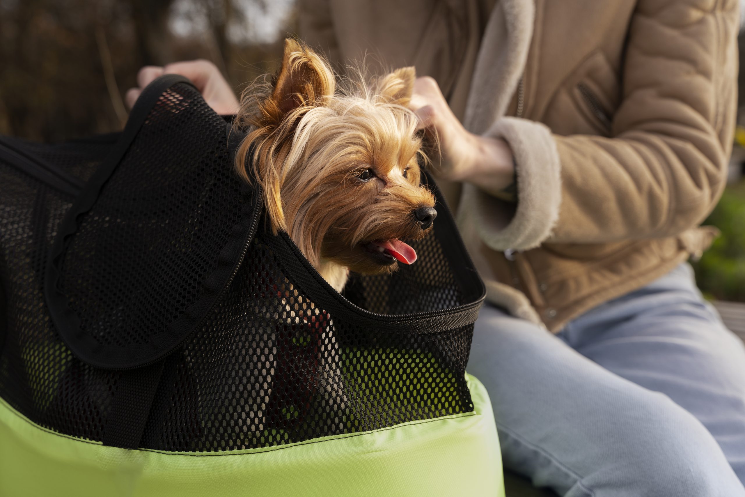 vista-frontal-mujer-lindo-perro-al-aire-libre